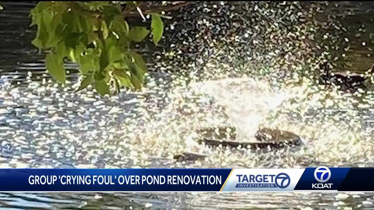 Residents cry foul over duck pond renovation at Mariposa Basin Park