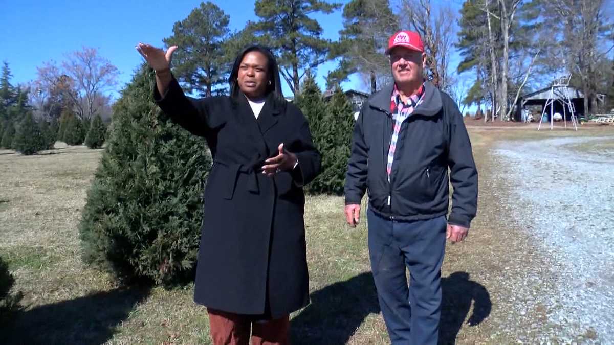 South Carolina Christmas tree farmer fears data center development could sink his business