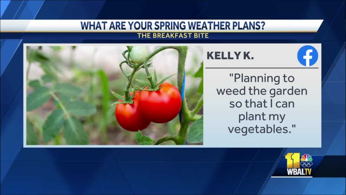 Breakfast Bite: Spring weather plans