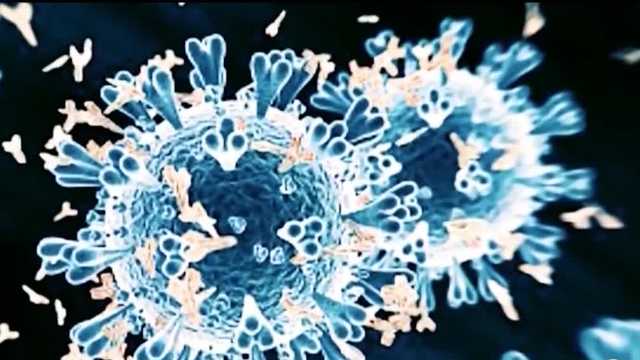 Mutation of omicron variant called 'BA.2' found in New Mexico - Vimarsana News