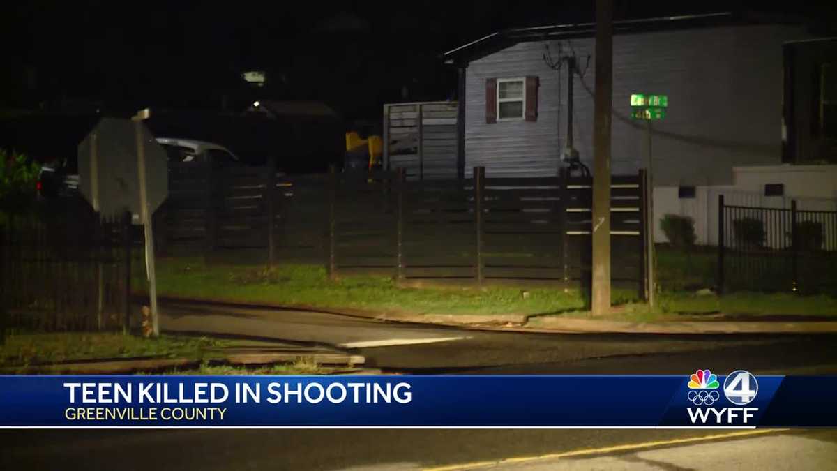 South Carolina: Teen dies after being shot in head