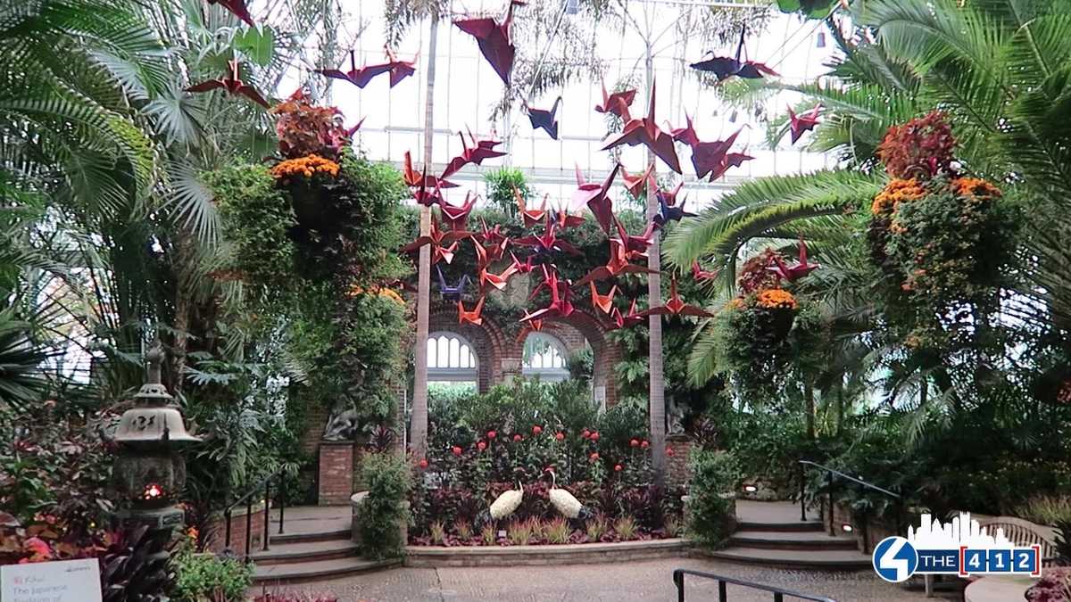 4 the 412 Phipps Conservatory fall flower shower