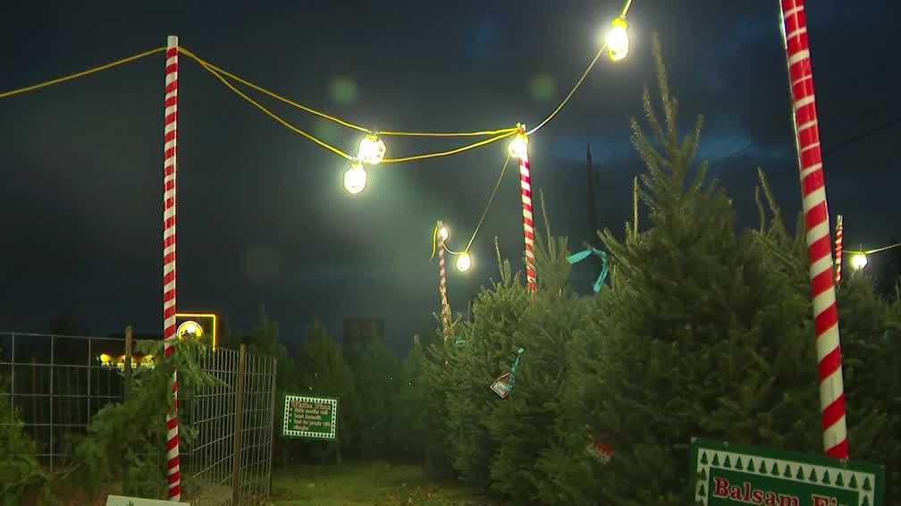 Scouting America troops hosting Christmas tree lot in Des Moines