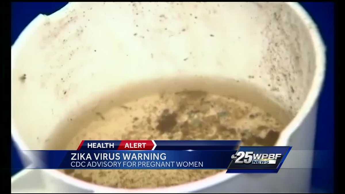 Zika virus warning from the CDC for Pregnant Women