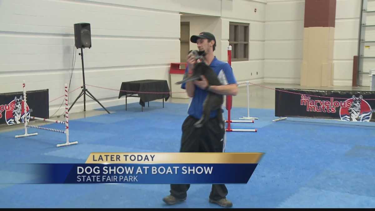 Dogs at the Milwaukee Boat Show