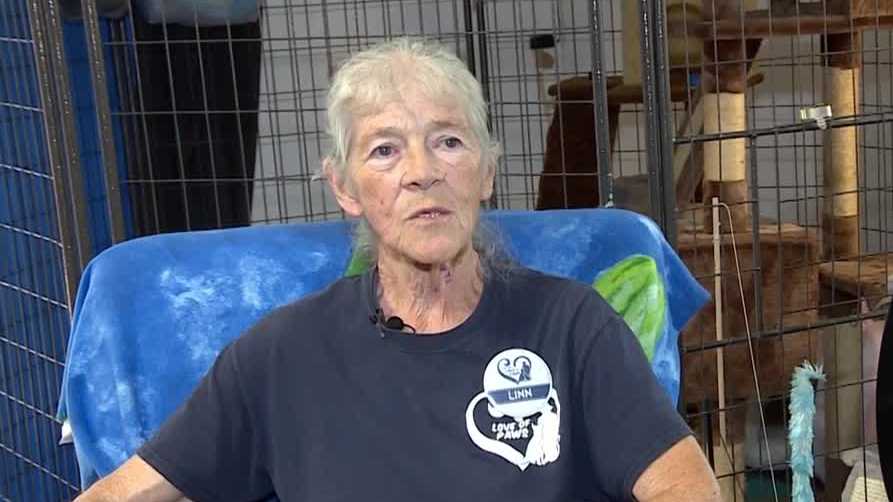Treasure Coast woman dedicates her life to helping stray animals and pets left b...
