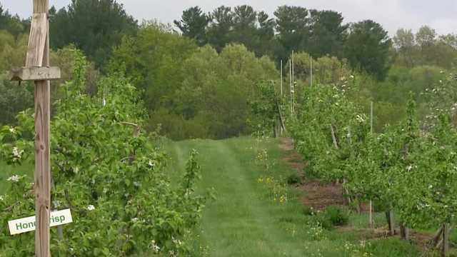 Rising diesel prices put pressure on NH farmers - Vimarsana News
