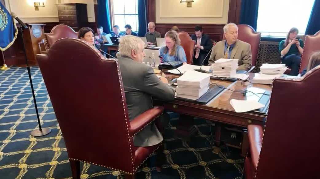 NH Executive Council approves $21M, releasing first round of GO-NORTH funding for mental health