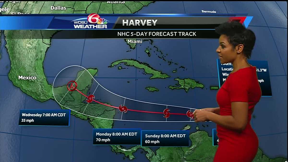 Tracking the tropics update for 8 18 17