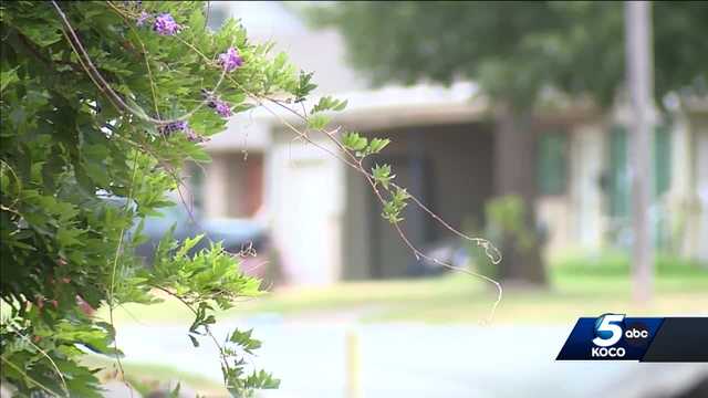Oklahoma family treats child for lead poisoning - Vimarsana News