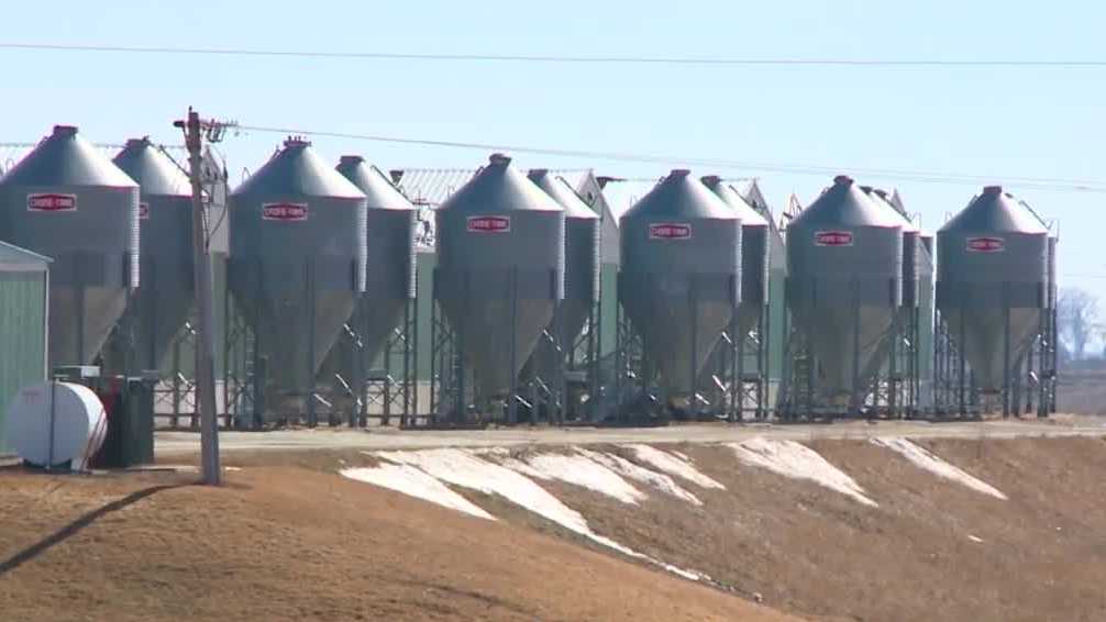 Iowa poultry farms prepare as highlycontagious bird flu spreads