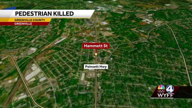 South Carolina: Deadly pedestrian crash in Greenville County - Vimarsana News