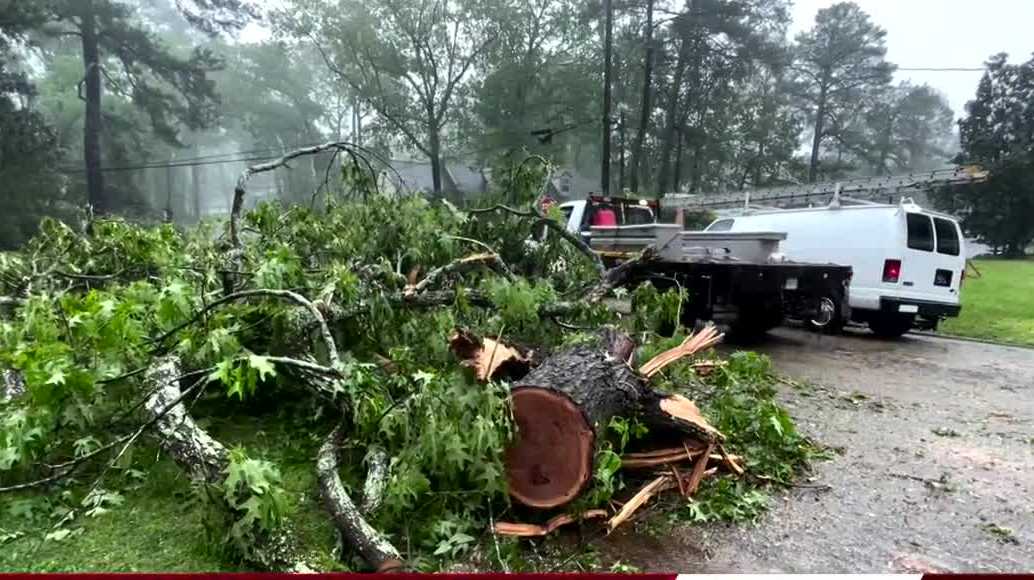 Georgia: Storms move in after unleashing tornadoes, flooding - Vimarsana News