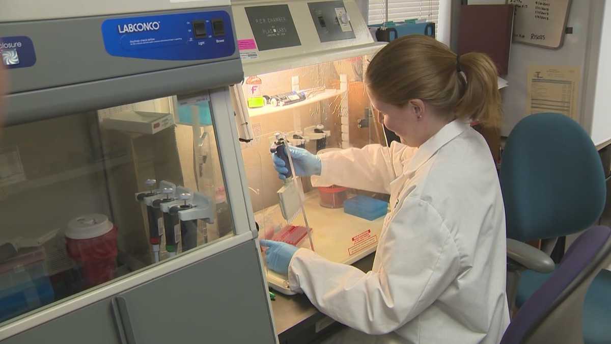 Cat DNA tested at UC Davis helps solve murder case