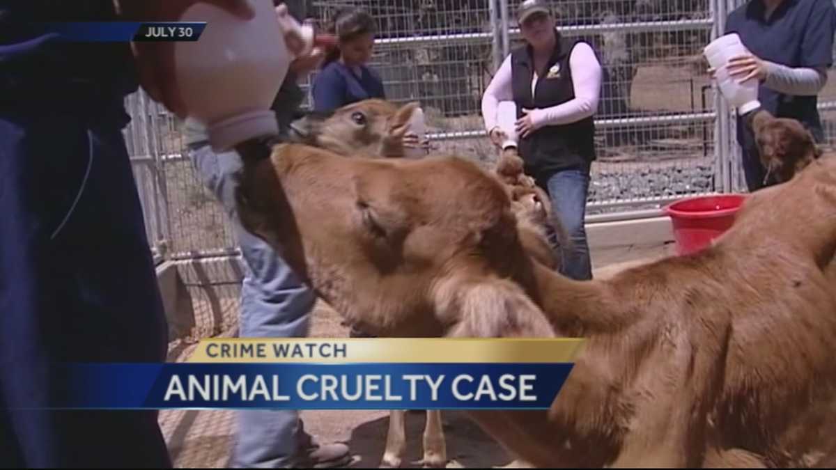 1200px x 675px - Moss Landing woman charged with farm animal abuse