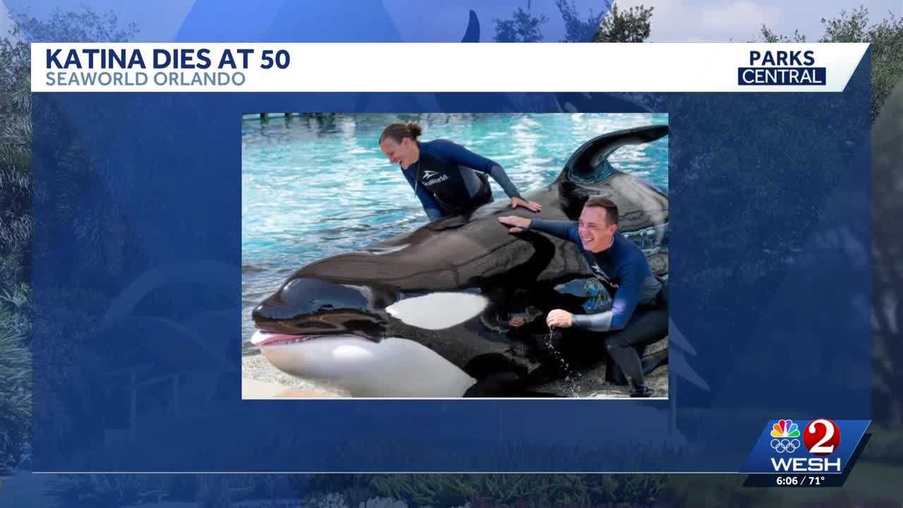 SeaWorld Orlando announces death of oldest killer whale