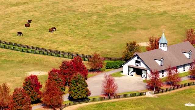 From the sky: Witness the magic of Kentucky horse farms in the fall