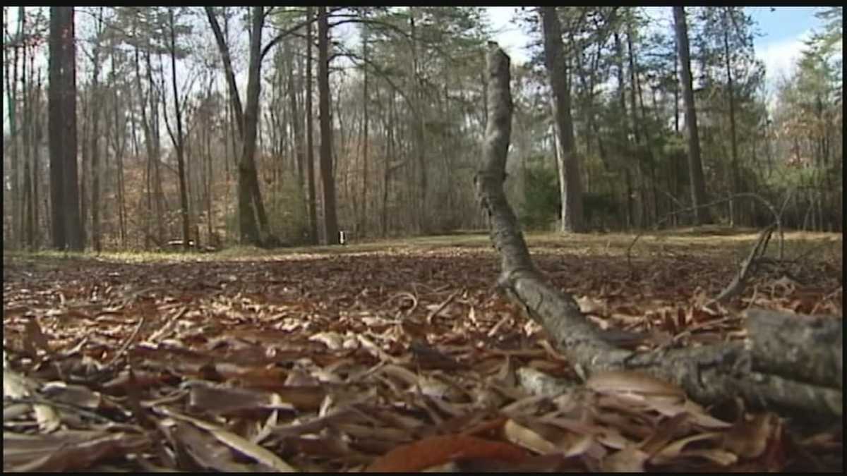 Future use of High Point nature preserve