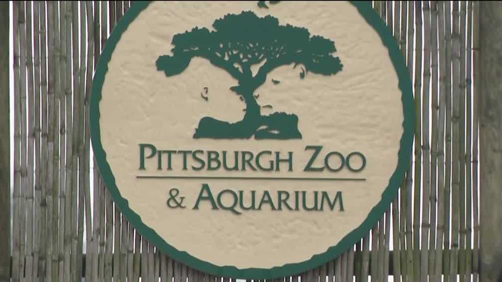 Pittsburgh Zoo & Aquarium reopens as tornado cleanup continues