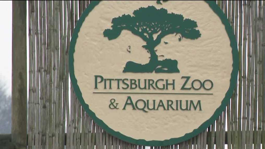 匹兹堡动物园官员解决最近一连串动物死亡事件