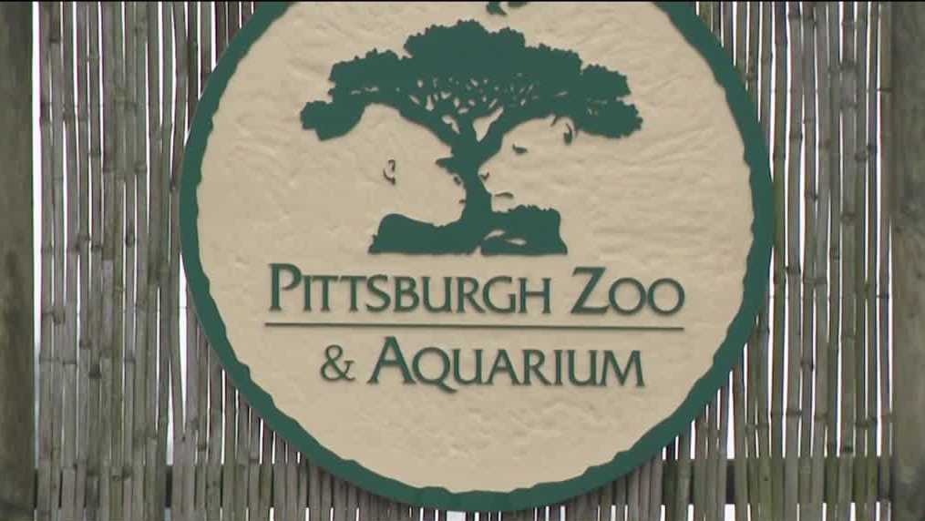 Pittsburgh Zoo officials address recent string of animal deaths