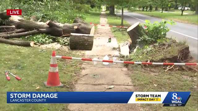 Storms claim lives of mother, son, snap trees, wash out roads in South-Central Pa.