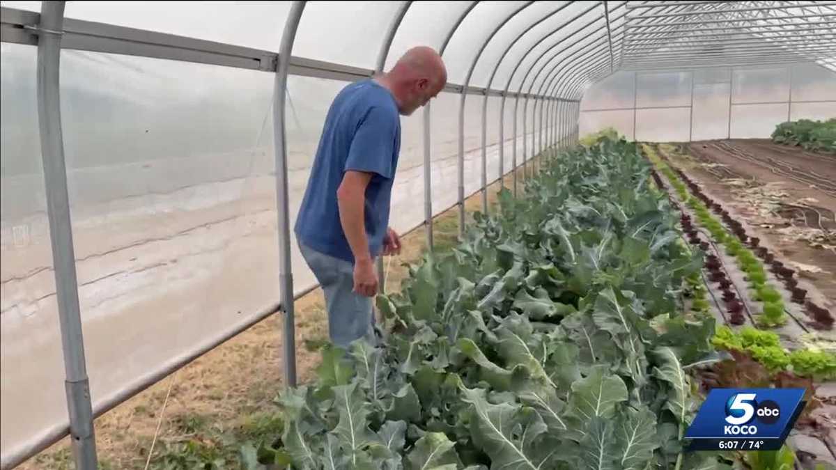 Oklahoma farmers seek stability amid USDA disaster assistance