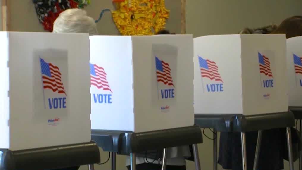 Georgia voter guide 2026: ID rules, ballots, voting times - WJCL