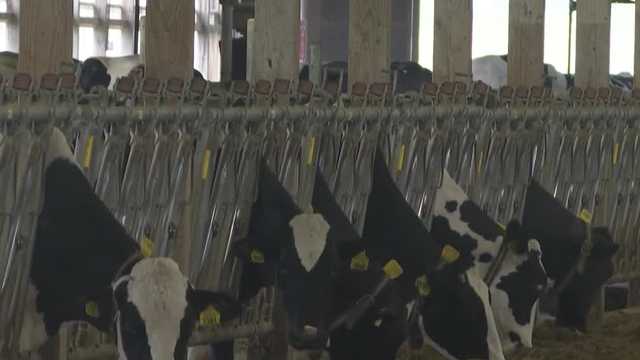 Northeast organic dairy farms to receive grant of more than $1M - Vimarsana News