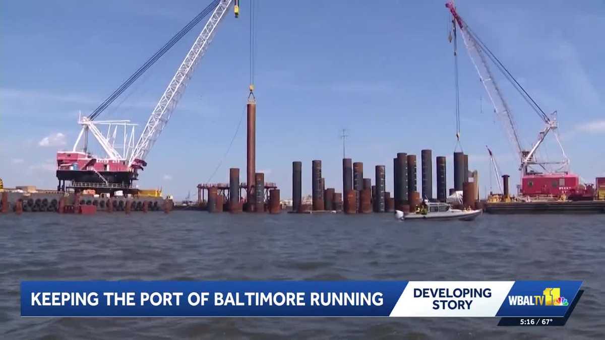 Maryland's congressional leaders focus on port's future