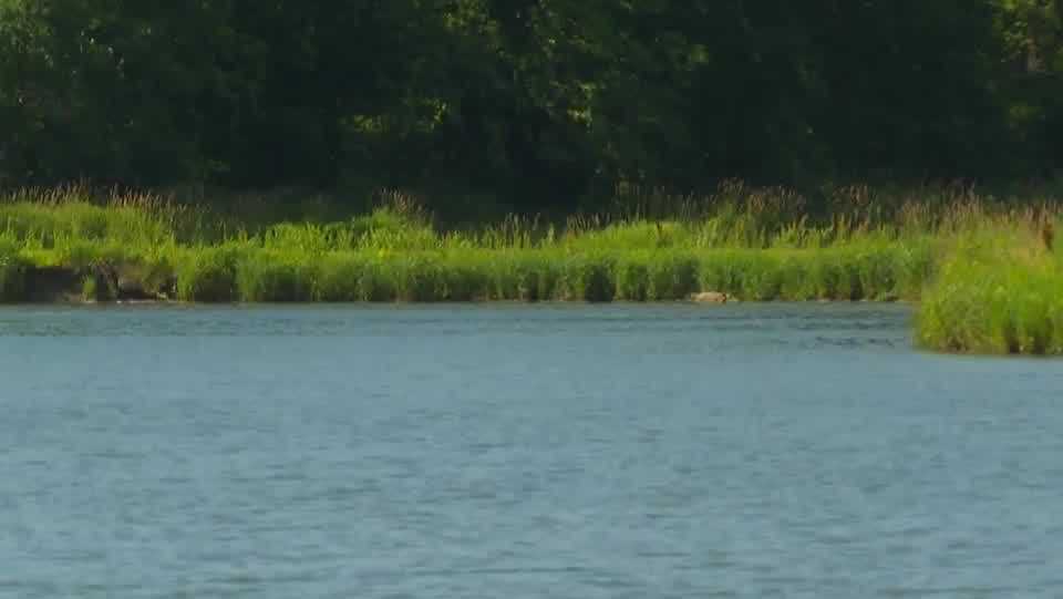 www.kcci.com