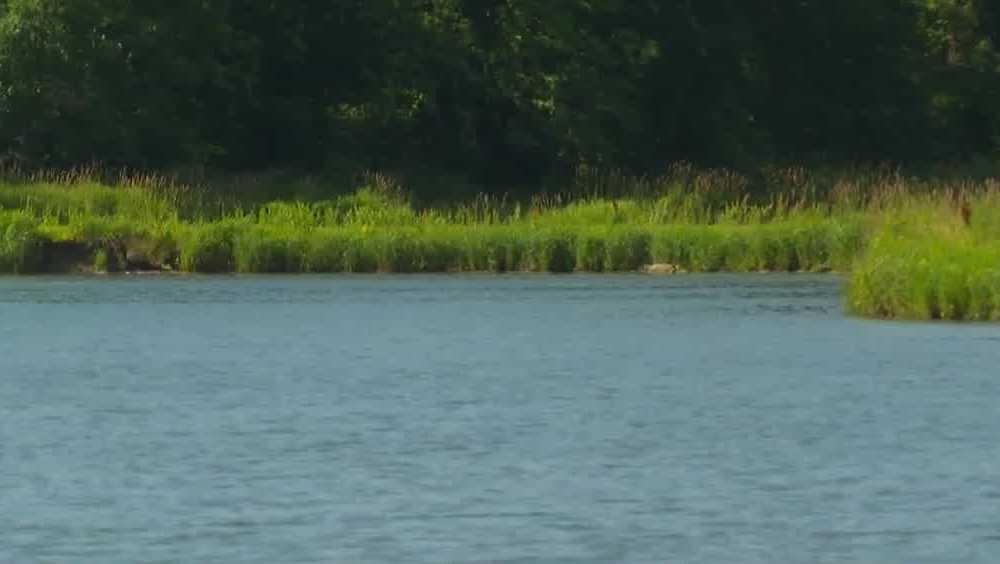 Des Moines Water Works CEO links nitrate issue to farm fertilizers