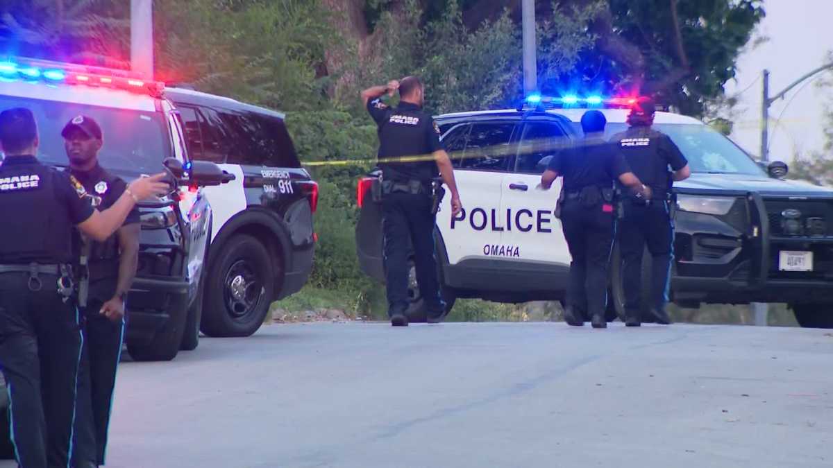 Assault News Image