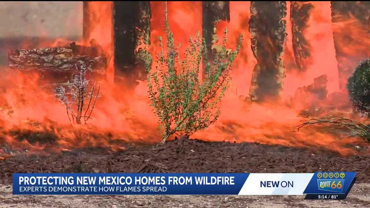 New Mexico officials set model homes on fire to teach wildfire safety