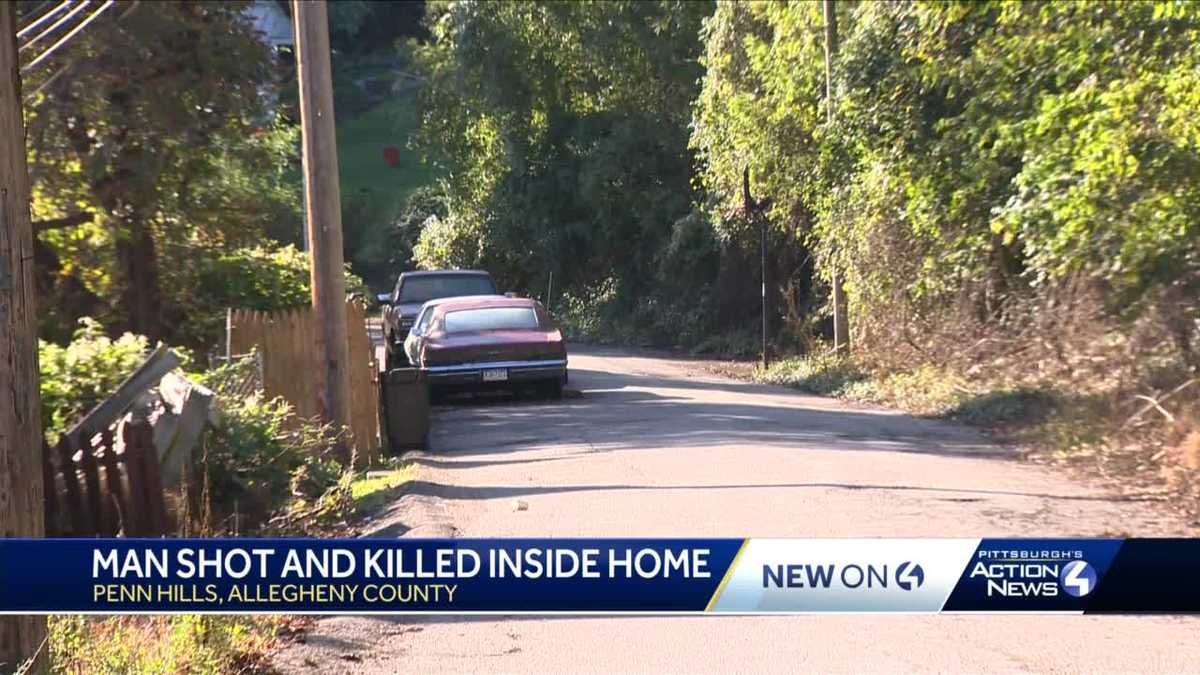 Penn Hills man found shot to death inside ransacked home