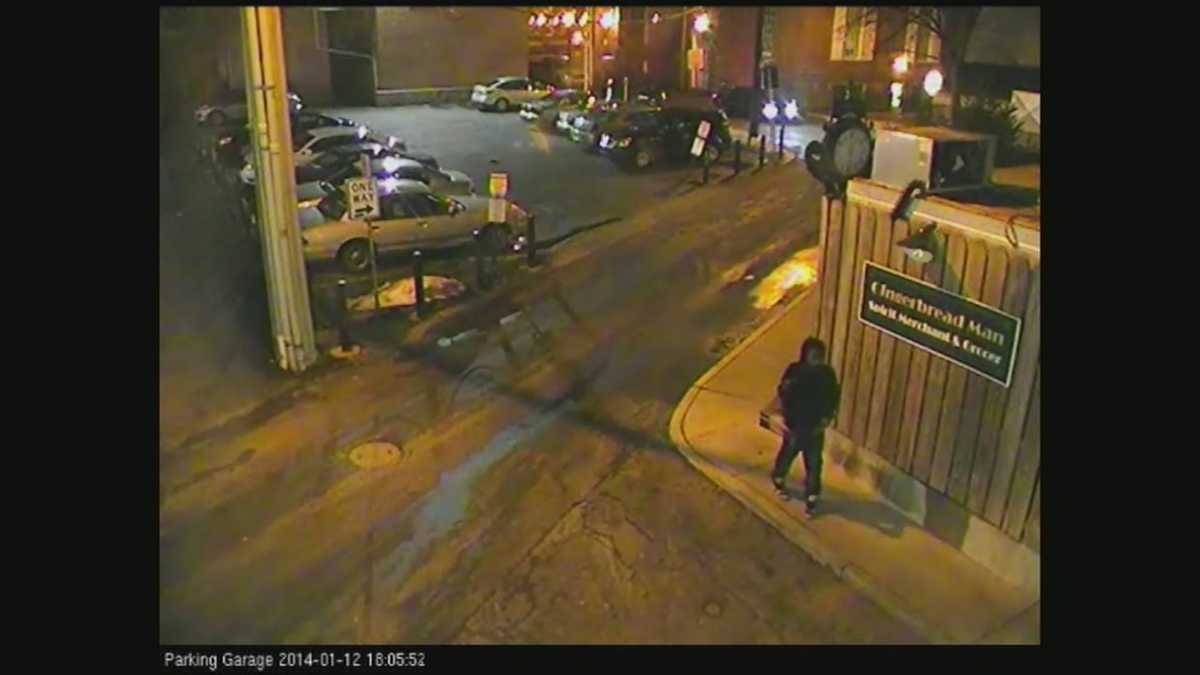 Police release surveillance video of alleged robber