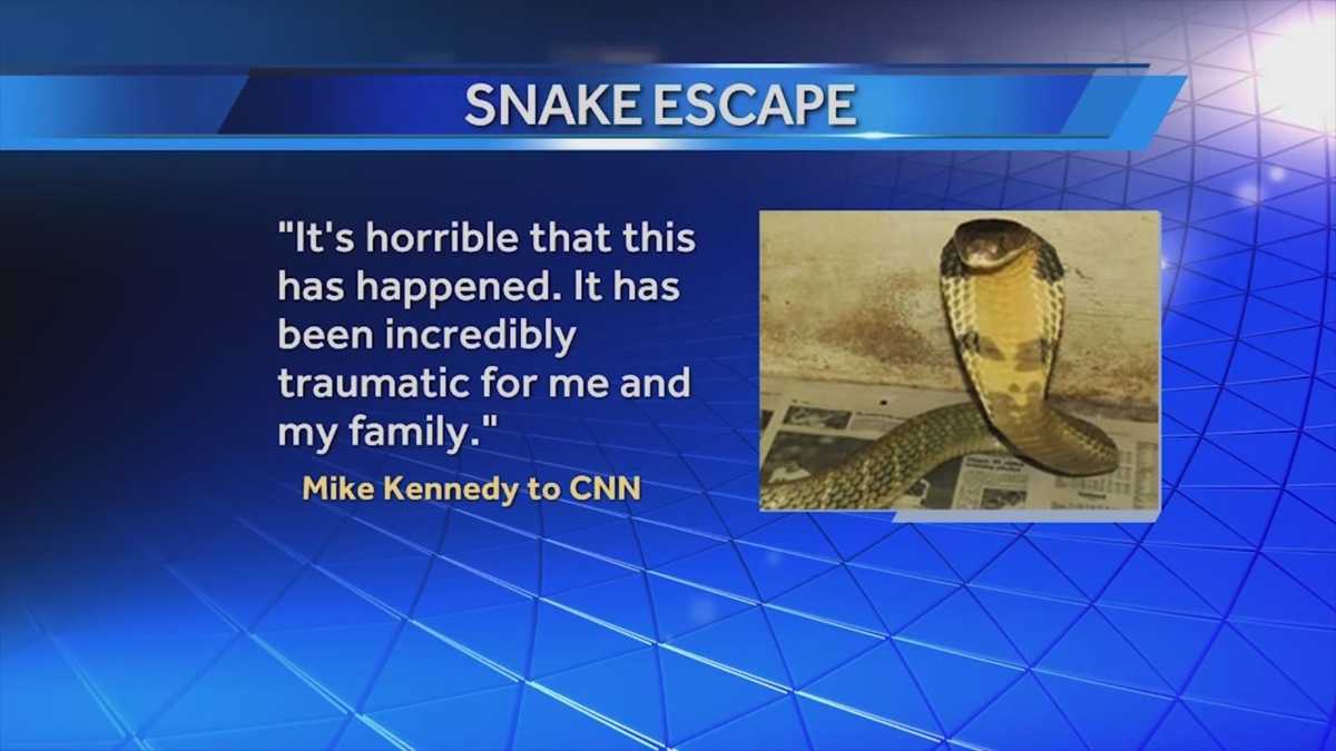 Owner Of Escaped King Cobra Has History Of Violations