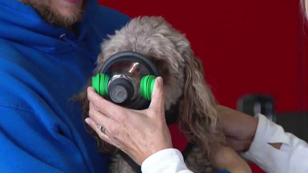 Omaha firefighters receive pet oxygen masks to aid animals in emergencies