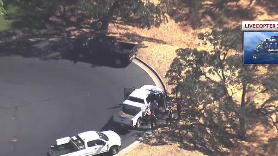 Reported mountain lion sighting forces shelter-in-place for high school in El Dorado Hills