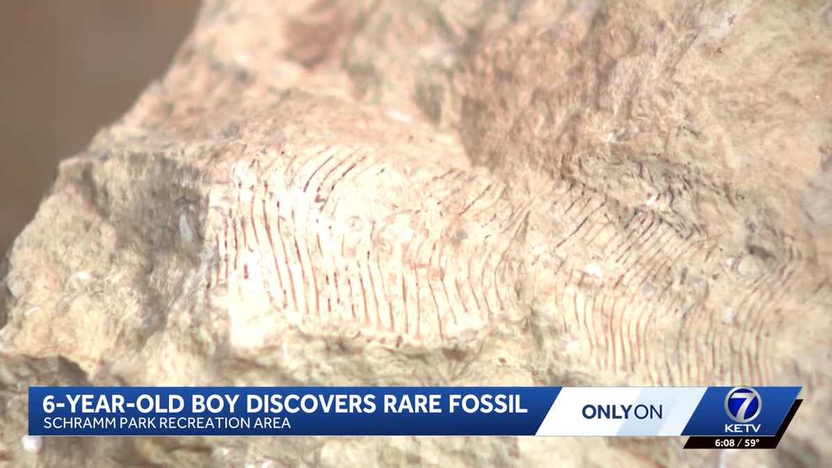 Nebraska 6-year-old finds extremely rare fossil at Schramm Park