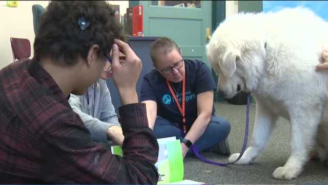 Western Pennsylvania School for the Deaf reading dogs visit - Vimarsana News