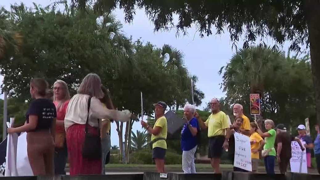 Florida protesters rally against ICE for alleged excessive force - WBBH