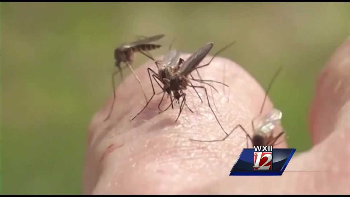 Yellow fever vaccine available in the Triad