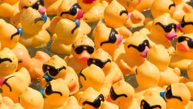 Steel City Duck Derby: A sea of yellow rubber ducks in Pittsburgh - Vimarsana News