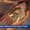 Turtle recovering after man pleads guilty to animal cruelty charges in deaths of 15 others