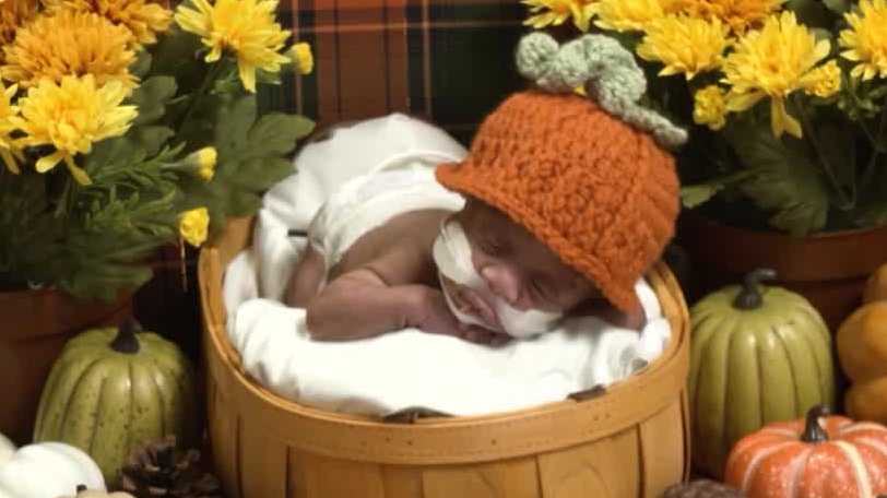 Cutest pumpkins in the patch: Norton NICU babies show off their Halloween costumes