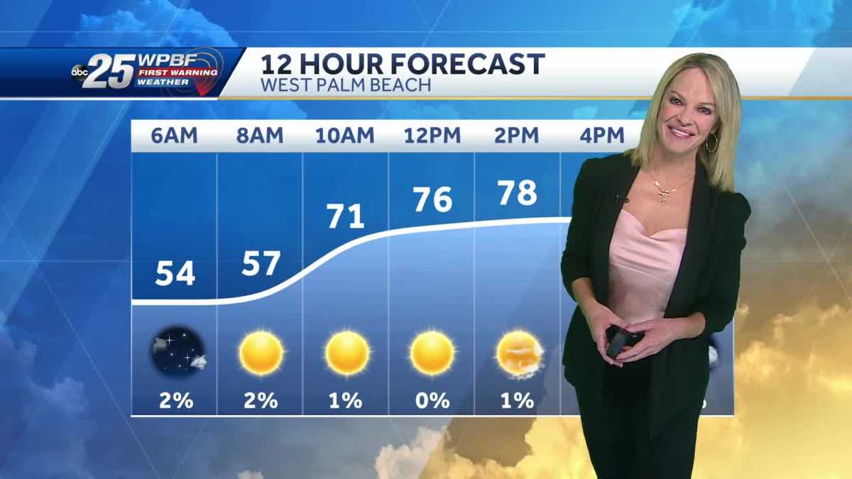 Mild and Sunny for SFL