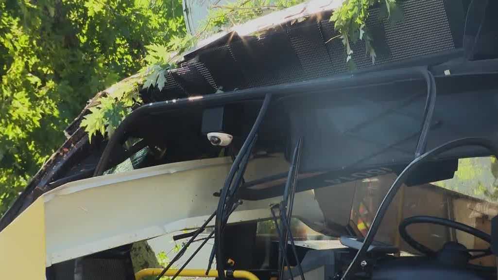 5 injured after MTA bus damaged by falling tree - WBAL