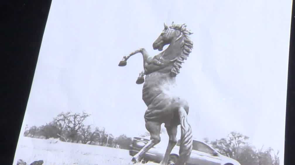 Landmark bronze horse statue stolen from Yolo County stable - Vimarsana News