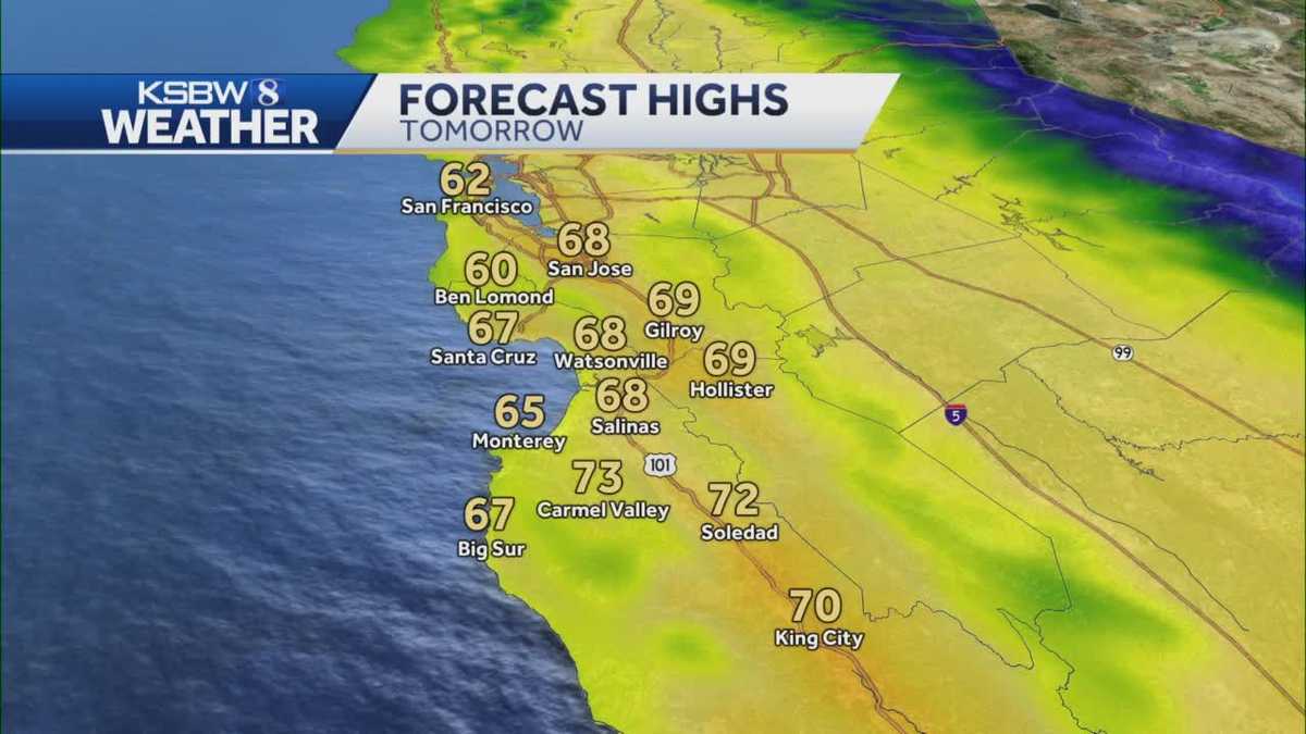 Sunshine and light winds on the forecast